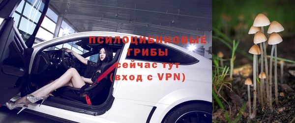 стаф Покров